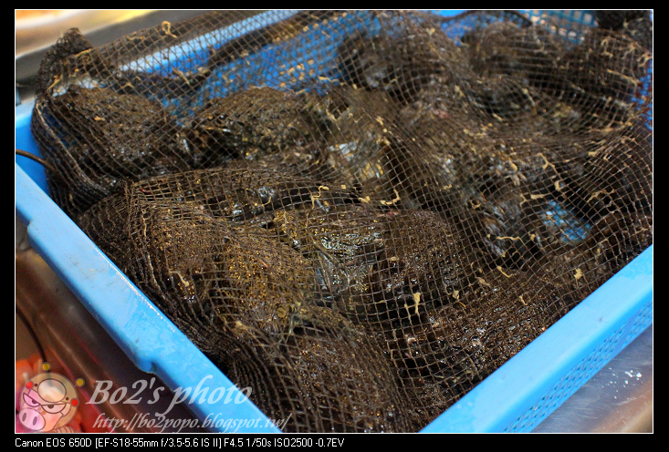 台南.中西區-阿川紅燒青蛙。鱔魚意麵