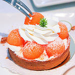 甜點界香奈兒西菲斯0037