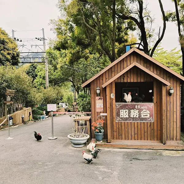 台中新社青青湖畔親水花園~創意西餐廳~烤肉區~親子同遊好樂趣