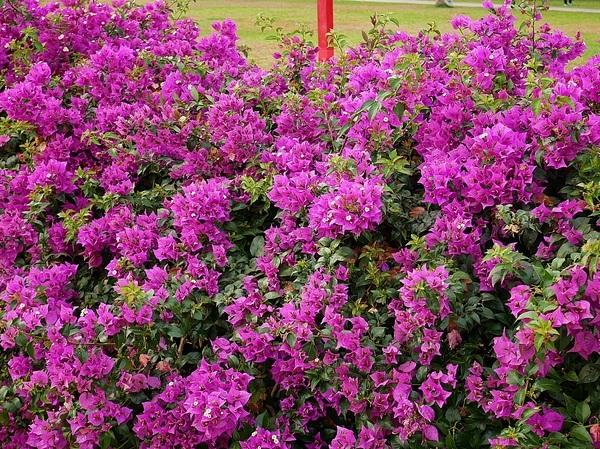 cm20190228___d5a3850f12b4538dc2922855b2d