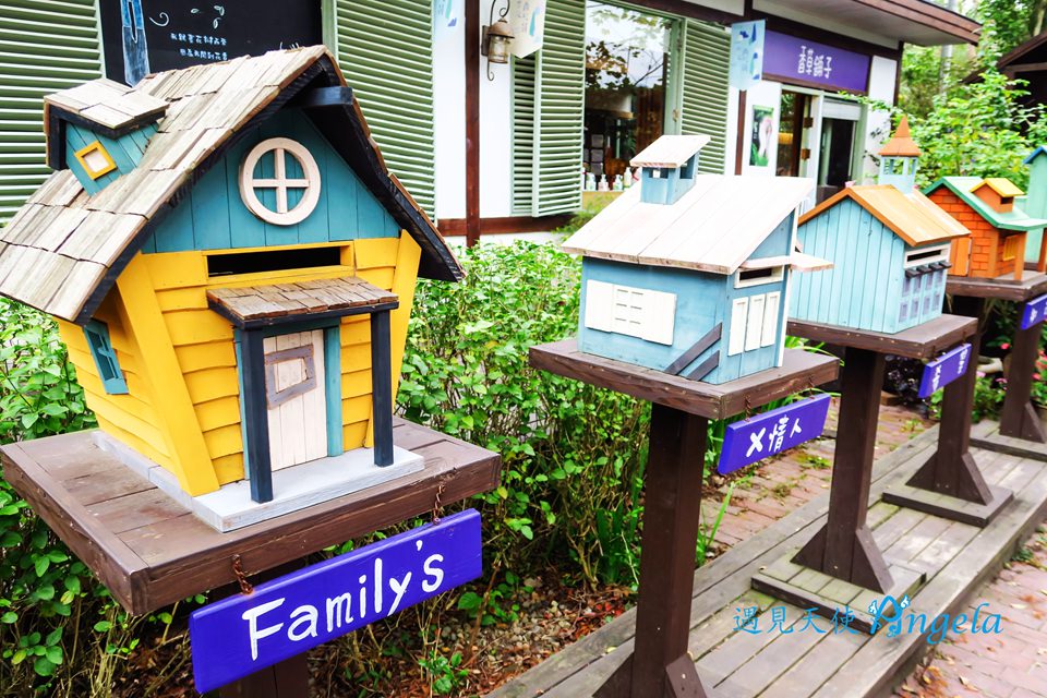 明德水庫薰衣草森林