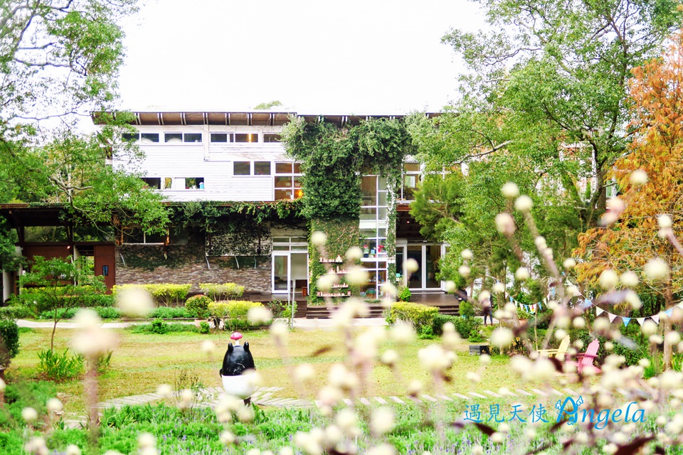 明德水庫薰衣草森林