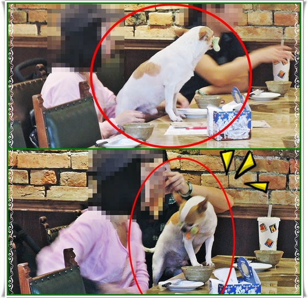 吳阿水老茶館(原吳阿火打邊爐)：✜ 妖受骨？! 餐點美味但團購、自費兩樣情滴網路口碑餐廳 -「吳阿水老茶館」╮(﹀_﹀")╭