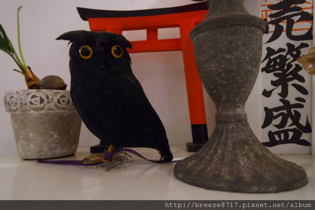 20170928 私廚-屋頂上的貓_170930_0054.jpg