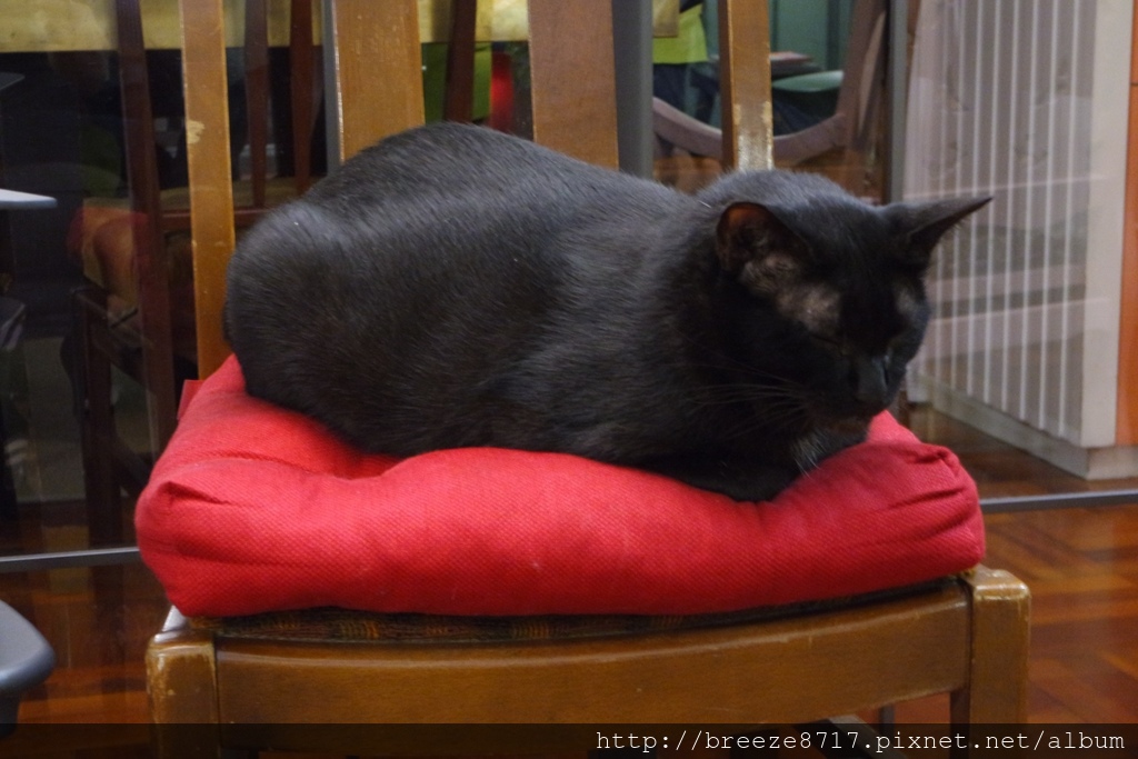 20170928 私廚-屋頂上的貓_170930_0044.jpg