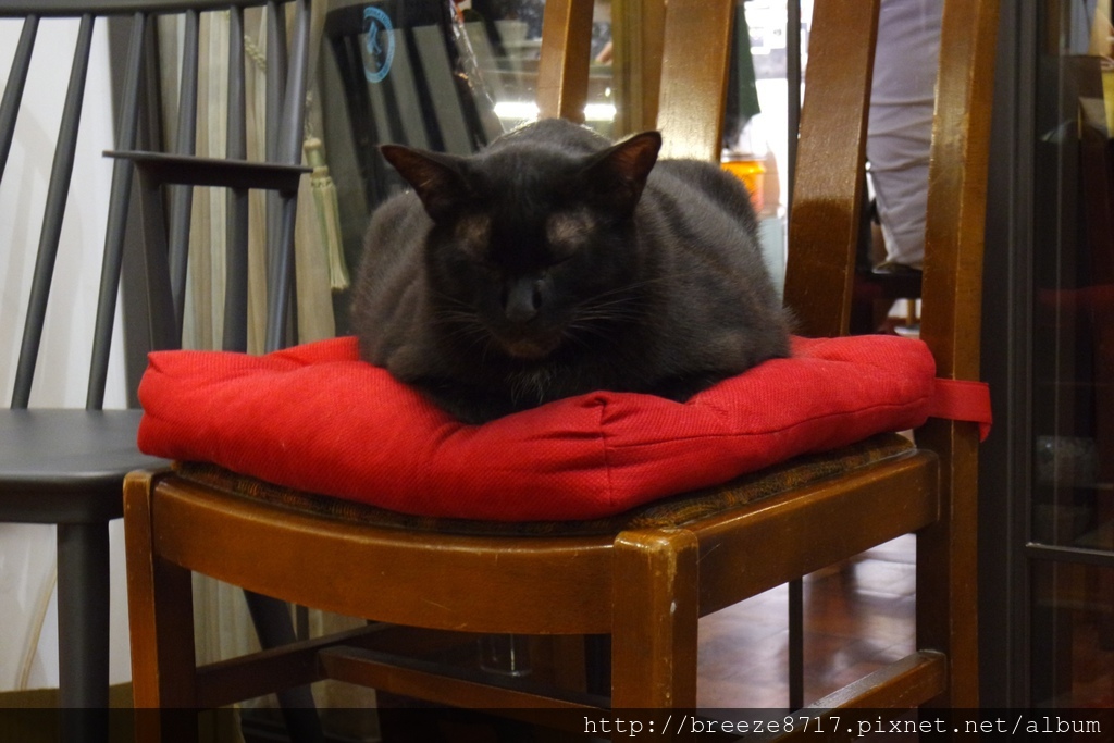 20170928 私廚-屋頂上的貓_170930_0045.jpg