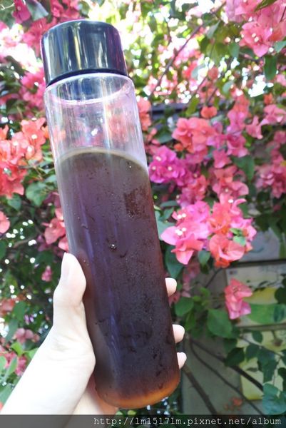 Hidden Lane Cafe 隱巷咖啡