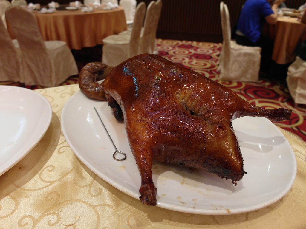 SAM_0454.JPG SAM_0454.JPG