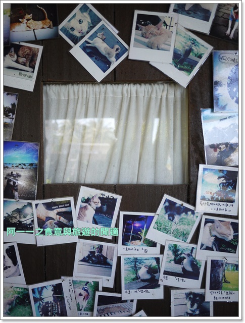 小魚兒的家咖啡坊:台東美食 小魚兒的家 無敵海景下午茶~阿一一台東熱汽球之旅 小魚兒的家咖啡坊:台東美食 小魚兒的家 無敵海景下午茶~阿一一台東熱汽球之旅