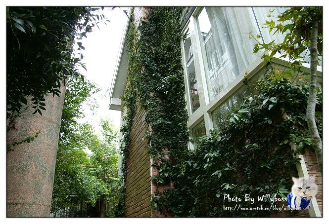 步入童話故事裡的夢幻小屋－嵐山小鎮(南投仁愛鄉)