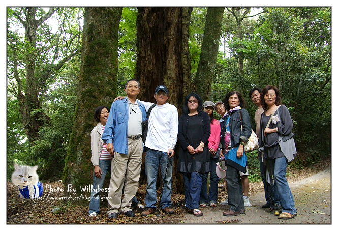 步入童話故事裡的夢幻小屋－嵐山小鎮(南投仁愛鄉)