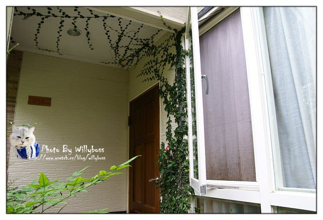 步入童話故事裡的夢幻小屋－嵐山小鎮(南投仁愛鄉)