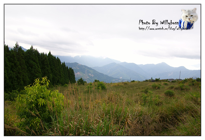 步入童話故事裡的夢幻小屋－嵐山小鎮(南投仁愛鄉)
