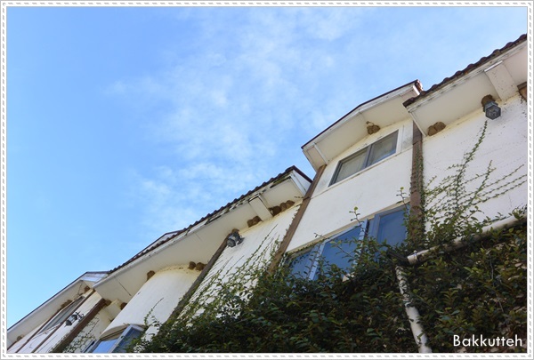 【清境住宿】南投清境民宿嵐山小鎮住宿記~清境裡另一個獨特的小鎮(練腿力+賞燕窩)