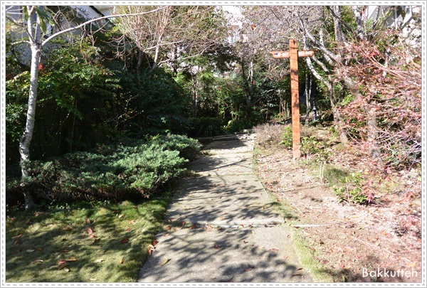 【清境住宿】南投清境民宿嵐山小鎮住宿記~清境裡另一個獨特的小鎮(練腿力+賞燕窩)