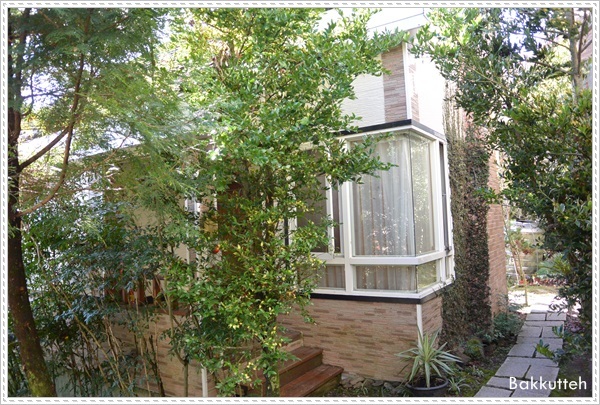 【清境住宿】南投清境民宿嵐山小鎮住宿記~清境裡另一個獨特的小鎮(練腿力+賞燕窩)