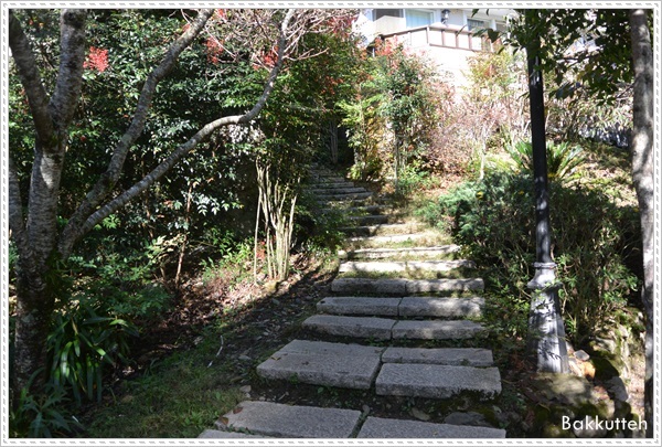 【清境住宿】南投清境民宿嵐山小鎮住宿記~清境裡另一個獨特的小鎮(練腿力+賞燕窩)