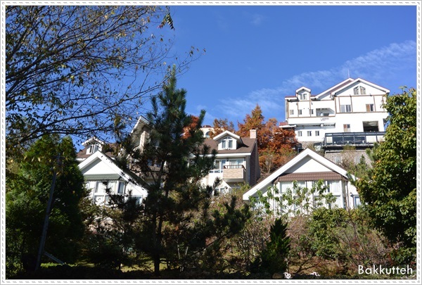 【清境住宿】南投清境民宿嵐山小鎮住宿記~清境裡另一個獨特的小鎮(練腿力+賞燕窩)