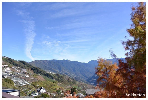 【清境住宿】南投清境民宿嵐山小鎮住宿記~清境裡另一個獨特的小鎮(練腿力+賞燕窩)