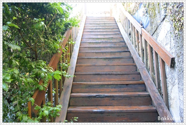 【清境住宿】南投清境民宿嵐山小鎮住宿記~清境裡另一個獨特的小鎮(練腿力+賞燕窩)