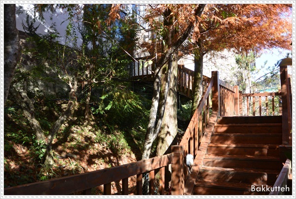 【清境住宿】南投清境民宿嵐山小鎮住宿記~清境裡另一個獨特的小鎮(練腿力+賞燕窩)