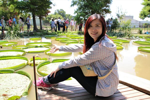 蓮荷園休閒農場：【桃園觀音景點】蓮荷園休閒農場~80公斤也可坐大王蓮/蓮子剉冰+洛神花臭豆腐必吃