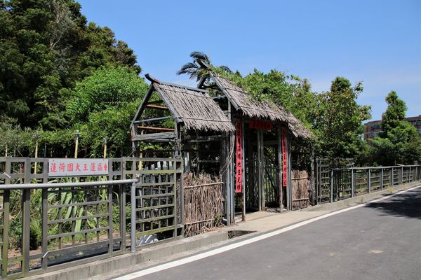 蓮荷園休閒農場：【桃園觀音景點】蓮荷園休閒農場~80公斤也可坐大王蓮/蓮子剉冰+洛神花臭豆腐必吃