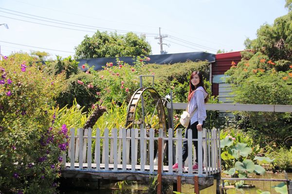 蓮荷園休閒農場：【桃園觀音景點】蓮荷園休閒農場~80公斤也可坐大王蓮/蓮子剉冰+洛神花臭豆腐必吃