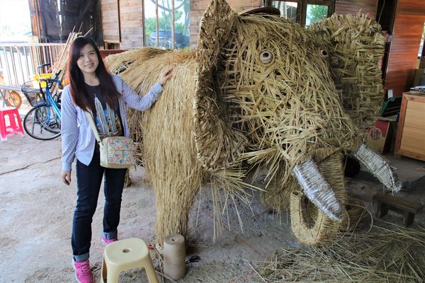 蓮荷園休閒農場：【桃園觀音景點】蓮荷園休閒農場~80公斤也可坐大王蓮/蓮子剉冰+洛神花臭豆腐必吃