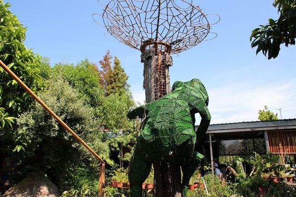 蓮荷園休閒農場：【桃園觀音景點】蓮荷園休閒農場~80公斤也可坐大王蓮/蓮子剉冰+洛神花臭豆腐必吃