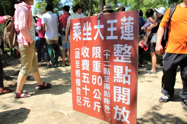 蓮荷園休閒農場：【桃園觀音景點】蓮荷園休閒農場~80公斤也可坐大王蓮/蓮子剉冰+洛神花臭豆腐必吃