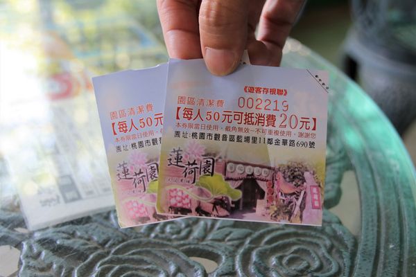 蓮荷園休閒農場：【桃園觀音景點】蓮荷園休閒農場~80公斤也可坐大王蓮/蓮子剉冰+洛神花臭豆腐必吃