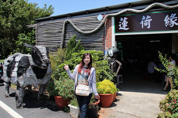 蓮荷園休閒農場：【桃園觀音景點】蓮荷園休閒農場~80公斤也可坐大王蓮/蓮子剉冰+洛神花臭豆腐必吃