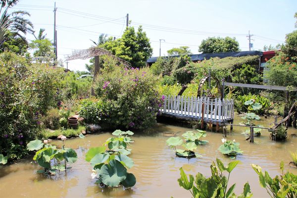 蓮荷園休閒農場：【桃園觀音景點】蓮荷園休閒農場~80公斤也可坐大王蓮/蓮子剉冰+洛神花臭豆腐必吃