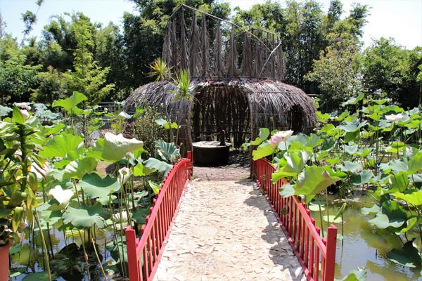 蓮荷園休閒農場：【桃園觀音景點】蓮荷園休閒農場~80公斤也可坐大王蓮/蓮子剉冰+洛神花臭豆腐必吃