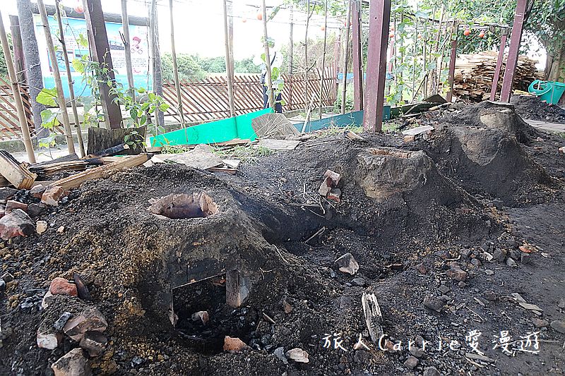 2017桃園蓮花季-荷浪桃桃 樂遊蓮池．獨家大宅門布袋戲變臉秀【桃園觀音旅遊】蓮荷園休閒農場‧林家古厝休閒農場