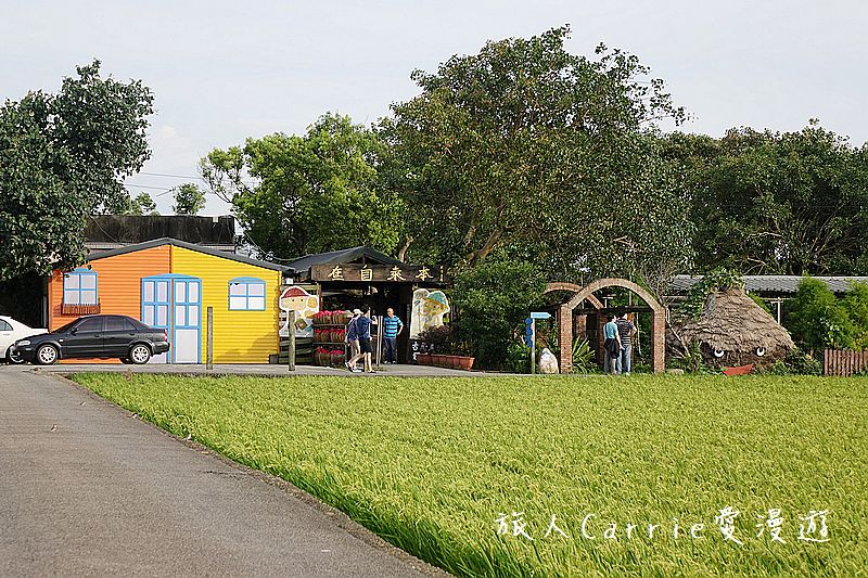 2017桃園蓮花季-荷浪桃桃 樂遊蓮池．獨家大宅門布袋戲變臉秀【桃園觀音旅遊】蓮荷園休閒農場‧林家古厝休閒農場