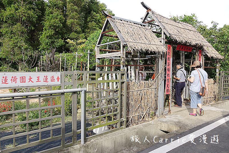2017桃園蓮花季-荷浪桃桃 樂遊蓮池．獨家大宅門布袋戲變臉秀【桃園觀音旅遊】蓮荷園休閒農場‧林家古厝休閒農場