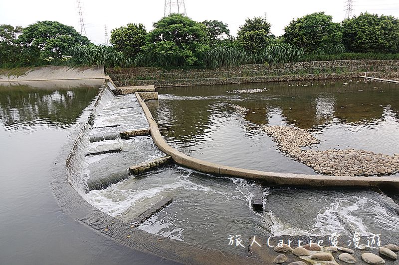 2017桃園蓮花季-荷浪桃桃 樂遊蓮池．獨家大宅門布袋戲變臉秀【桃園觀音旅遊】蓮荷園休閒農場‧林家古厝休閒農場