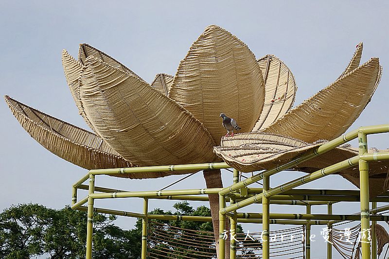 2017桃園蓮花季-荷浪桃桃 樂遊蓮池．獨家大宅門布袋戲變臉秀【桃園觀音旅遊】蓮荷園休閒農場‧林家古厝休閒農場