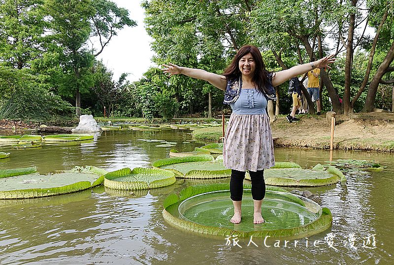 2017桃園蓮花季-荷浪桃桃 樂遊蓮池．獨家大宅門布袋戲變臉秀【桃園觀音旅遊】蓮荷園休閒農場‧林家古厝休閒農場