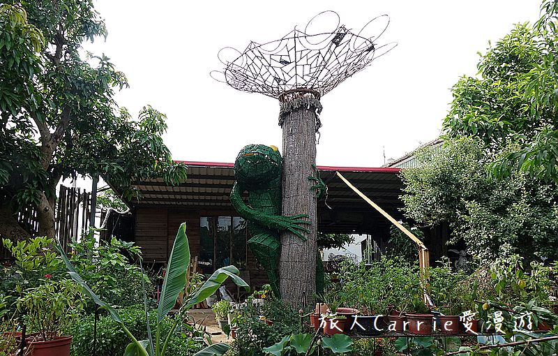 2017桃園蓮花季-荷浪桃桃 樂遊蓮池．獨家大宅門布袋戲變臉秀【桃園觀音旅遊】蓮荷園休閒農場‧林家古厝休閒農場