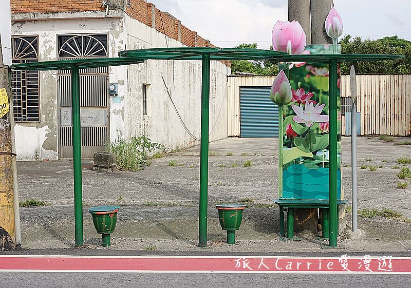 2017桃園蓮花季-荷浪桃桃 樂遊蓮池．獨家大宅門布袋戲變臉秀【桃園觀音旅遊】蓮荷園休閒農場‧林家古厝休閒農場