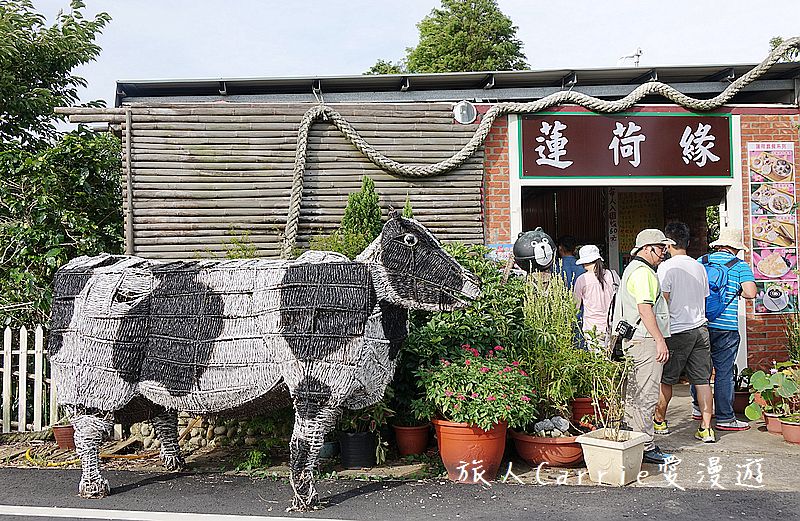 2017桃園蓮花季-荷浪桃桃 樂遊蓮池．獨家大宅門布袋戲變臉秀【桃園觀音旅遊】蓮荷園休閒農場‧林家古厝休閒農場