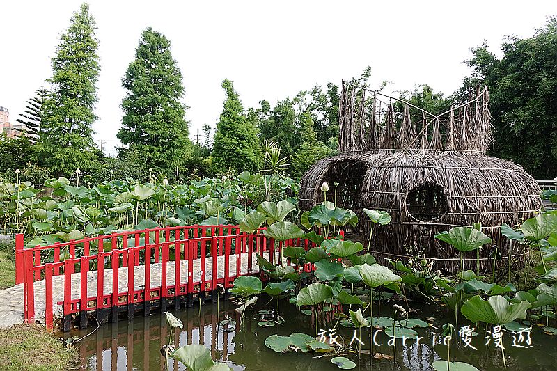2017桃園蓮花季-荷浪桃桃 樂遊蓮池．獨家大宅門布袋戲變臉秀【桃園觀音旅遊】蓮荷園休閒農場‧林家古厝休閒農場