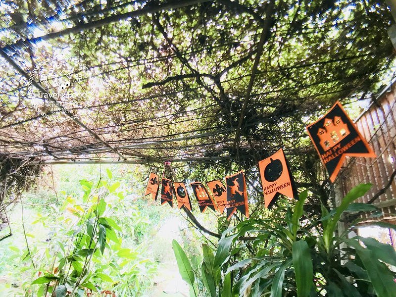 【遊】蓮荷園休閒農場：乘坐大王蓮，練練水上漂，一起來當姆指姑娘～季節限定！ @魚兒 x 牽手明太子的「視」界旅行