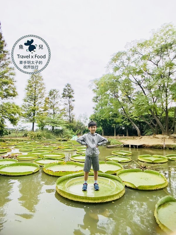 【遊】蓮荷園休閒農場：乘坐大王蓮，練練水上漂，一起來當姆指姑娘～季節限定！ @魚兒 x 牽手明太子的「視」界旅行