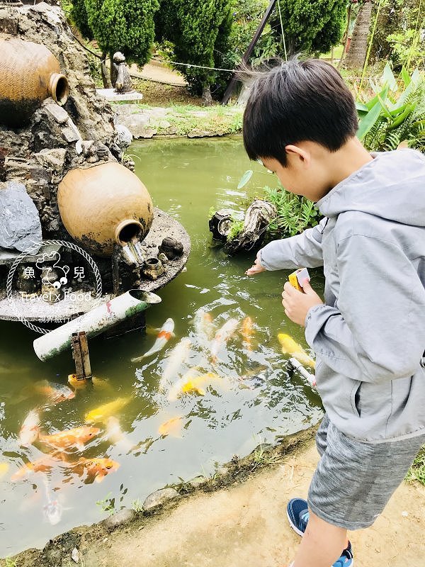 【遊】蓮荷園休閒農場：乘坐大王蓮，練練水上漂，一起來當姆指姑娘～季節限定！ @魚兒 x 牽手明太子的「視」界旅行