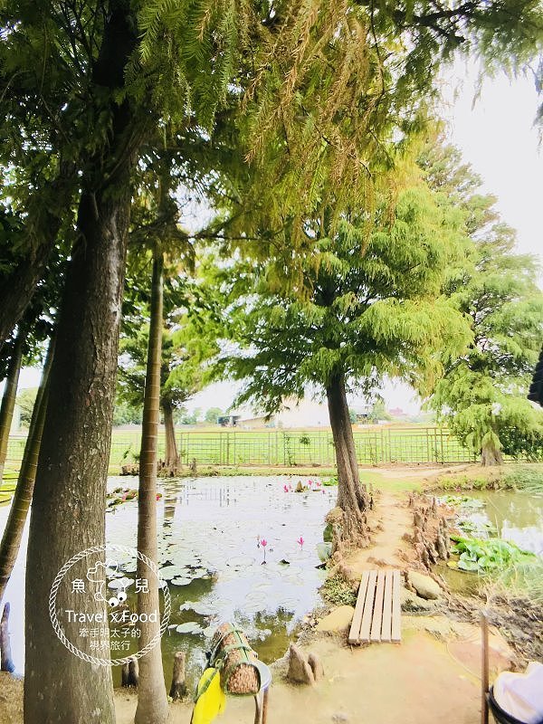 【遊】蓮荷園休閒農場：乘坐大王蓮，練練水上漂，一起來當姆指姑娘～季節限定！ @魚兒 x 牽手明太子的「視」界旅行