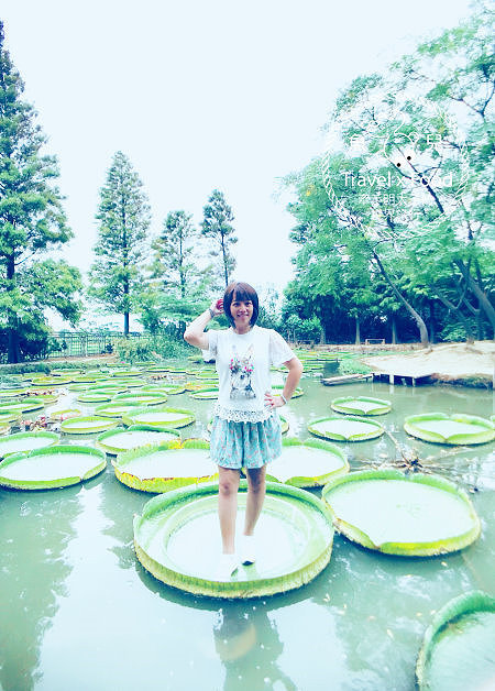 【遊】蓮荷園休閒農場：乘坐大王蓮，練練水上漂，一起來當姆指姑娘～季節限定！ @魚兒 x 牽手明太子的「視」界旅行